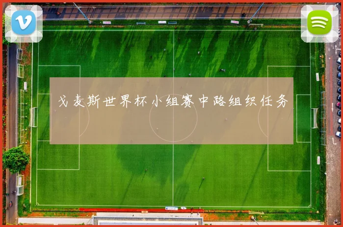 戈麦斯世界杯小组赛中路组织任务