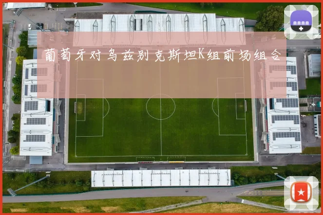 葡萄牙对乌兹别克斯坦K组前场组合