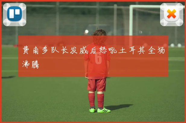 费南多队长发威后怒吼土耳其全场沸腾