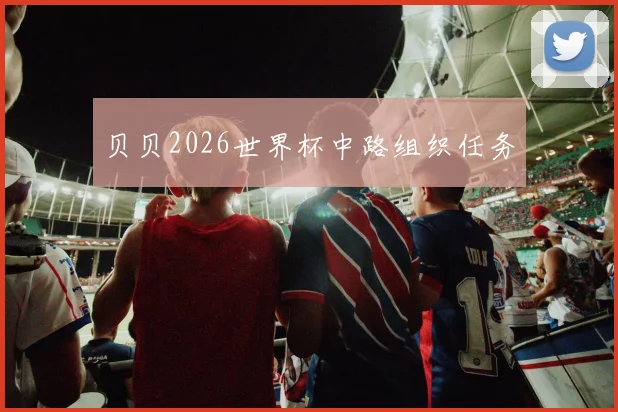 贝贝2026世界杯中路组织任务