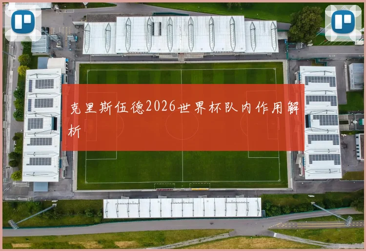 克里斯伍德2026世界杯队内作用解析