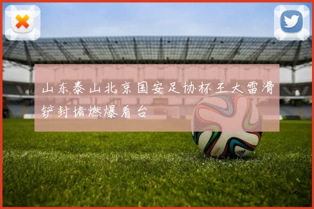山东泰山北京国安足协杯王大雷滑铲封堵燃爆看台