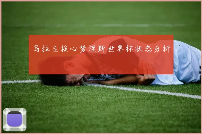 乌拉圭核心努涅斯世界杯状态分析