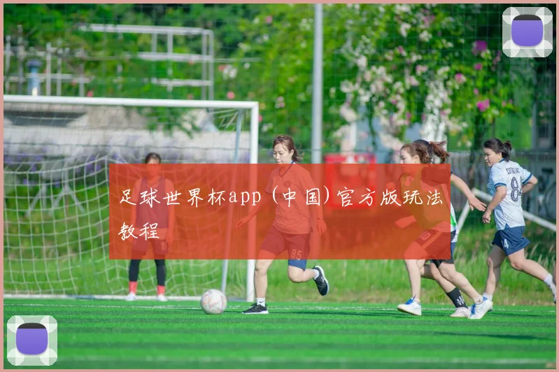 足球世界杯app (中国)官方版玩法教程