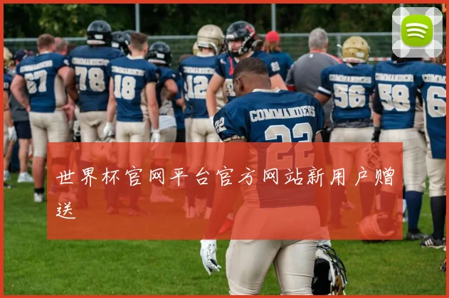 世界杯官网平台官方网站新用户赠送
