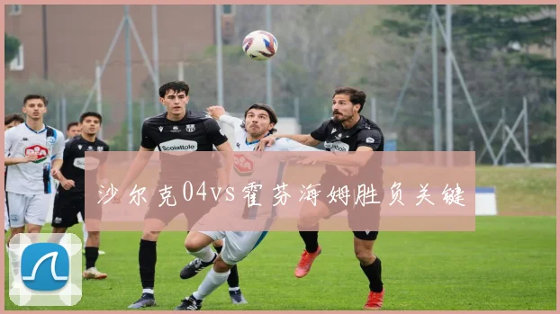沙尔克04vs霍芬海姆胜负关键